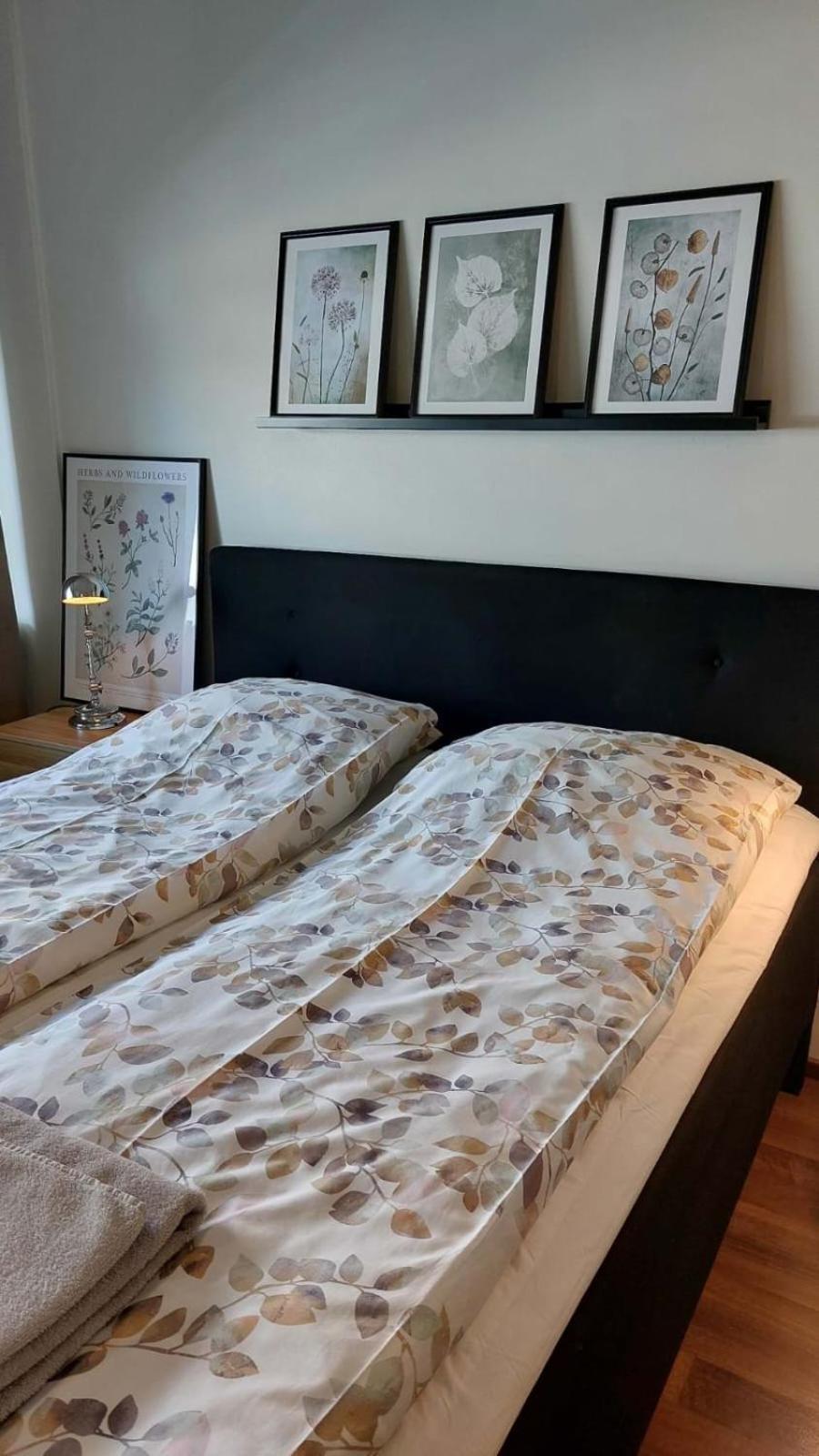 Scandinavian Home Rovaniemi Luaran gambar